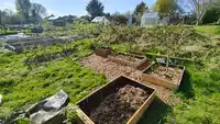 Get Growing - progress
