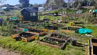 Get Growing - progress