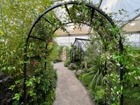 RHS Chelsea Flower Show 2025 Exhibit
