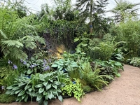 RHS Chelsea 2026 - Final Photos