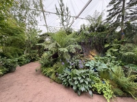 RHS Chelsea 2026 - Final Photos
