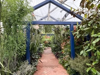 RHS Chelsea 2026 - Final Photos