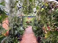 RHS Chelsea 2026 - Final Photos