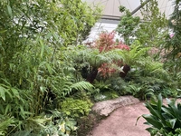 RHS Chelsea 2026 - Final Photos