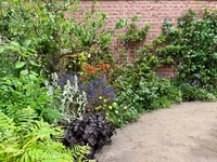 RHS Chelsea 2026 - Final Photos