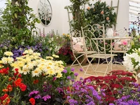 RHS Badminton Flower Show 2026