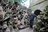 Biddulph Grange