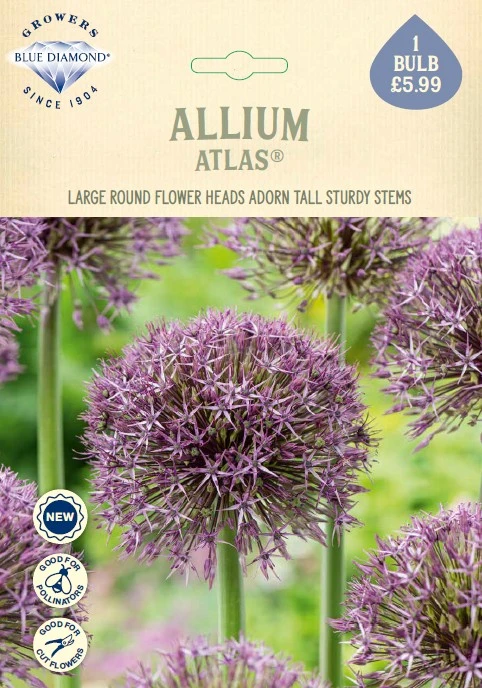 Allium Atlas NE