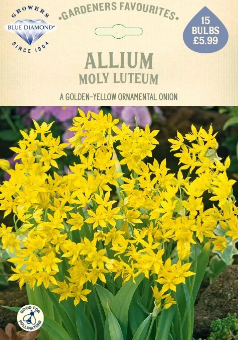 Allium Moly Luteum