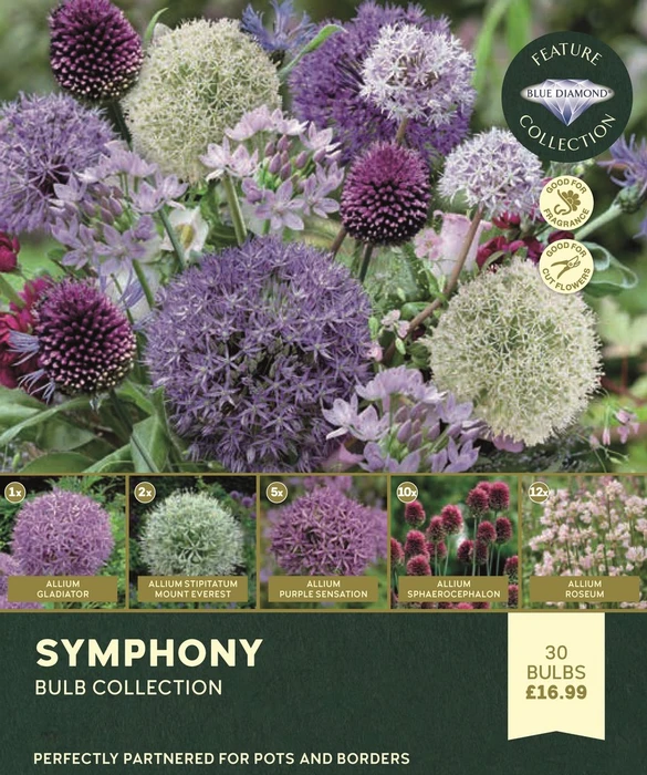 Allium Symphony Collection