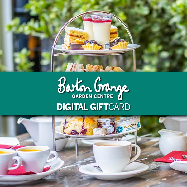 Barton Grange Digital Gift Voucher - Afternoon Tea for Two
