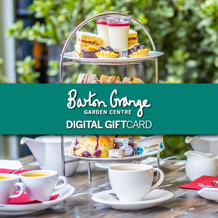 Barton Grange Digital Gift Voucher - Afternoon Tea for Two