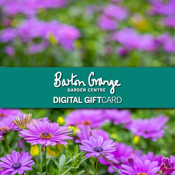 Barton Grange Digital Gift Voucher - Happy Birthday