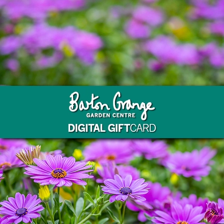 Barton Grange Digital Gift Voucher - Happy Birthday