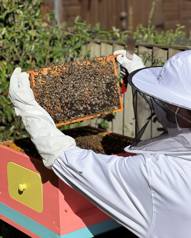 Beekeeping