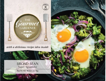 BROAD BEAN Super Aguadulce