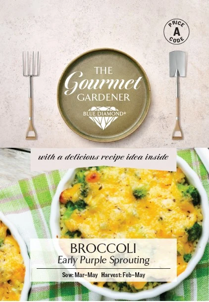 Diamond Broccoli BROCCOLI Early Purple Sprouting - Blue Diamond