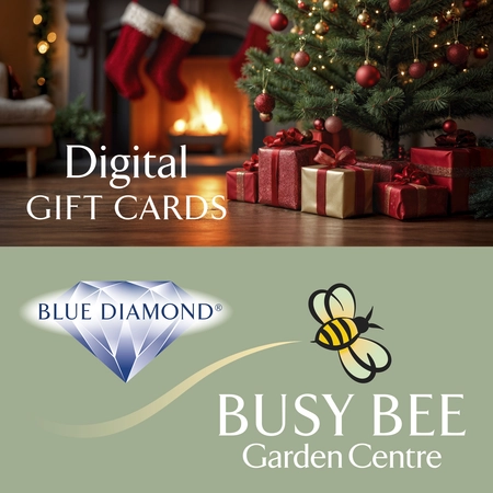 Busy Bee Digital Gift Voucher - Christmas