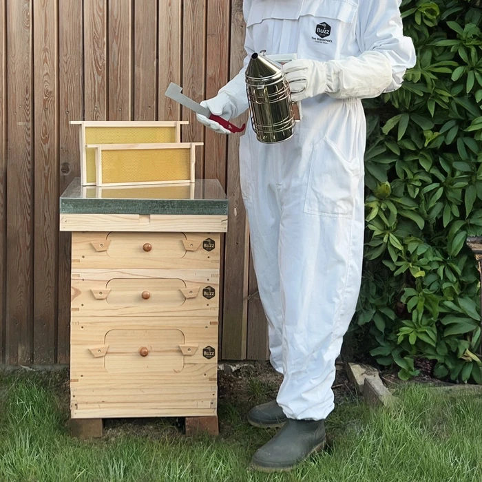 Buzz Box Starter Pack - image 1