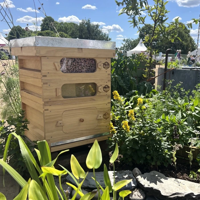 Buzz Box Starter Pack - image 5