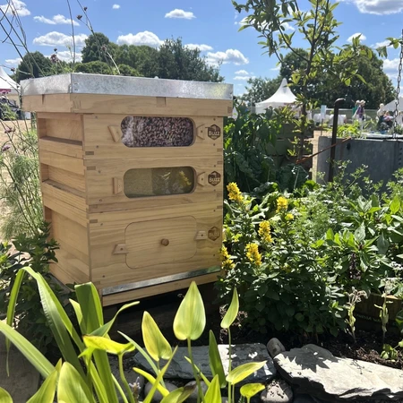 Buzz Box Starter Pack - image 5