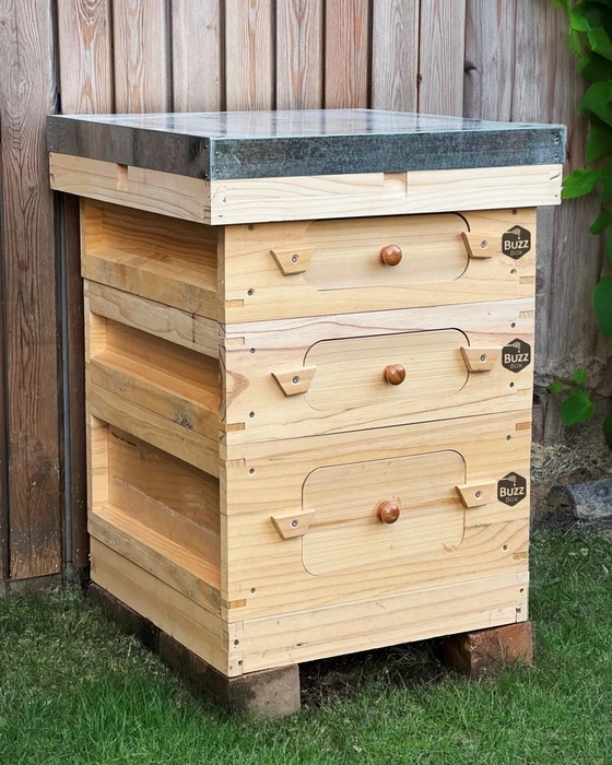 Buzz Box Starter Pack - image 2