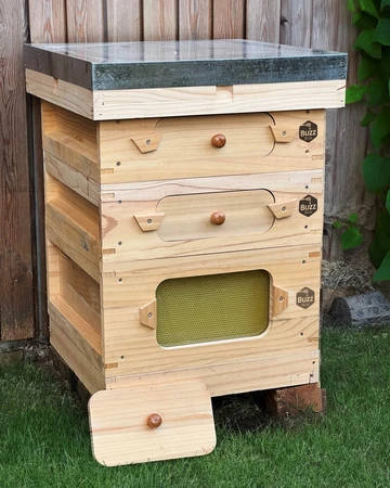 Buzz Box Starter Pack - image 3