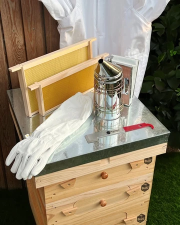 Buzz Box Starter Pack - image 4