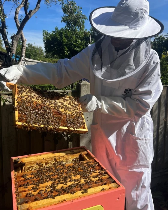 Buzz Box Starter Pack - image 8