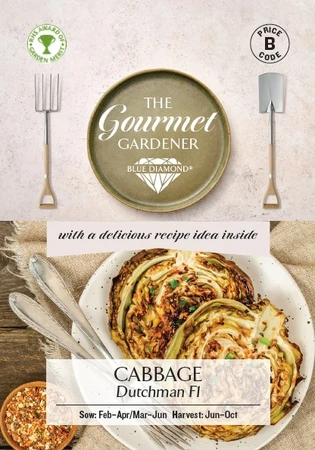 CABBAGE Dutchman F1