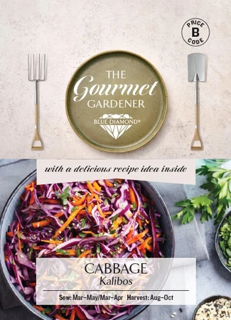 CABBAGE Kalibos