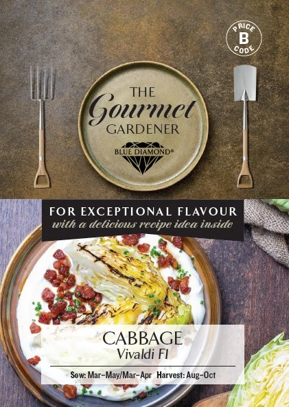 CABBAGE Vivaldi F1