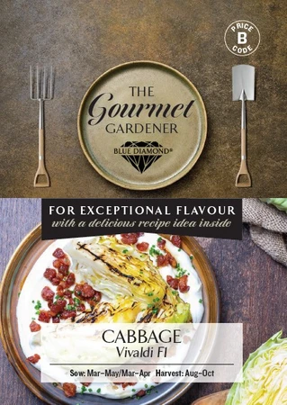 CABBAGE Vivaldi F1