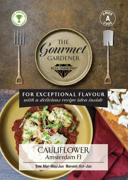 CAULIFLOWER Amsterdam F1