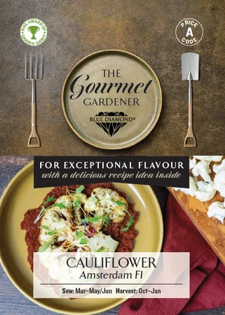 CAULIFLOWER Amsterdam F1