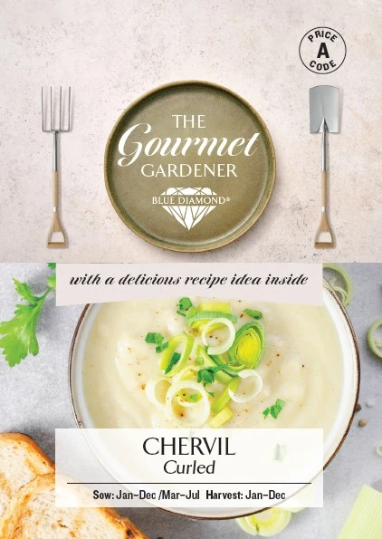 CHERVIL Curled
