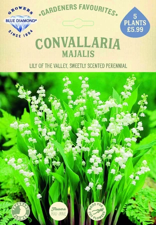 Convallaria Majalis - image 2