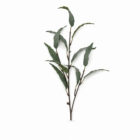 Frosted Eucalyptus Spray