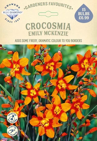 Crocosmia Emily McKenzie - image 1