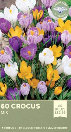 Crocus Mix
