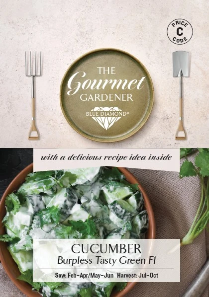 CUCUMBER Burpless Tasty Green F1