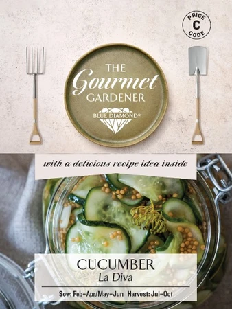 CUCUMBER La Diva