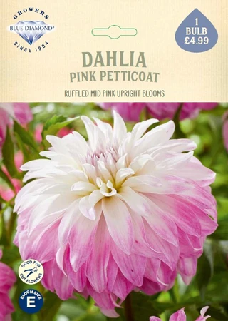 Dahlia Pink Petticoat