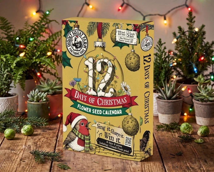 Diddly Squat Farm 12 Days of Christmas Flower Seed Calendar - image 1