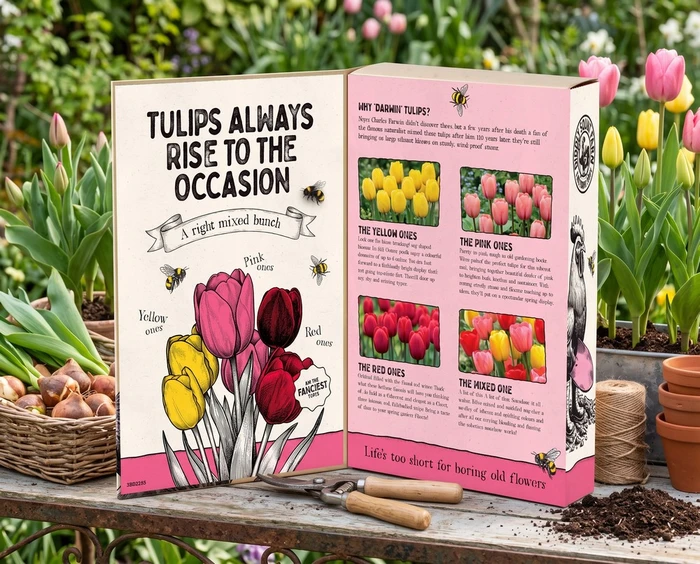 Diddly Squat Farm Tulip Mix