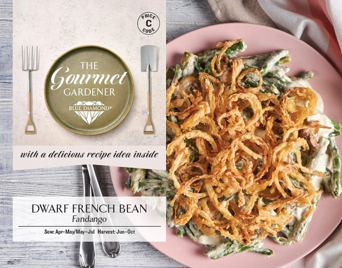 DWARF FRENCH BEAN Fandango