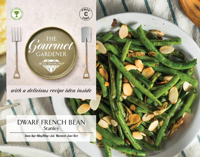 DWARF FRENCH BEAN Stanley