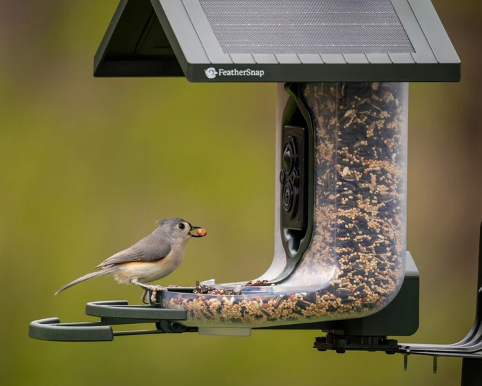 Feathersnap Scout Camera Feeder - image 2