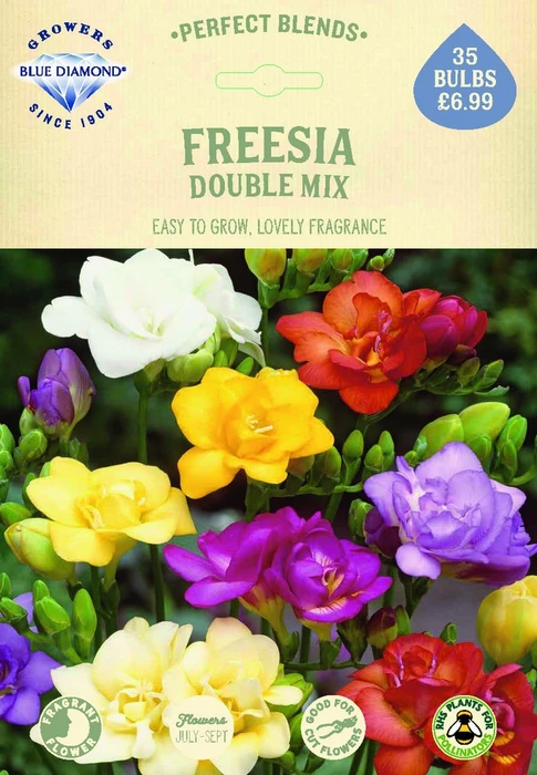 Freesia Double Mix - image 2