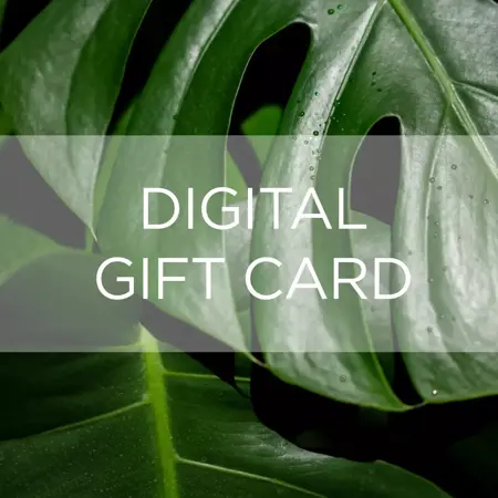 Frosts Digital Gift Voucher - Monstera